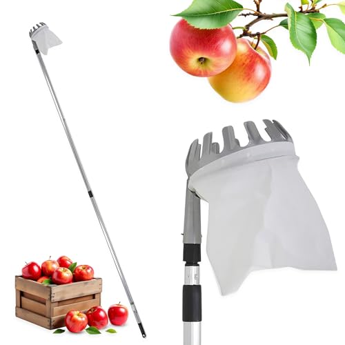 Spetebo Obstpflücker mit Teleskopstiel und Fangbeutel mit Pflückkranz - bis 240 cm - Fruchtpflücker mit Erntebeutel und Teleskopstange - Erntehelfer Obst Apfel Birnen Zwetschgen Baum Pflücker Spetebo Obstpflücker mit Teleskopstiel und Fangbeutel mit Pflückkranz - bis 240 cm - Fruchtpflücker mit Erntebeutel und Teleskopstange - Erntehelfer Obst Apfel Birnen Zwetschgen Baum Pflücker von Spetebo
