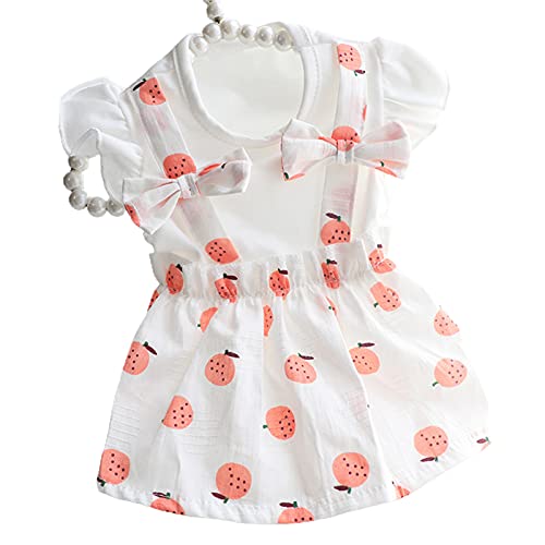 Pet Clothes Erdbeer-Muster, dekoratives exquisites Haustier-Hundekleid, ärmellos, für Sommer, Valentinstag, Muttertag, Hochzeit, Jahrestag, Party, Abschlussfeier, Weihnachten, Geburtstagsgeschenke, Dunkelorange, M Pet Clothes Erdbeer-Muster, dekoratives exquisites Haustier-Hundekleid, ärmellos, für Sommer, Valentinstag, Muttertag, Hochzeit, Jahrestag, Party, Abschlussfeier, Weihnachten, Geburtstagsgeschenke, Dunkelorange, M von SpirWoRchlan