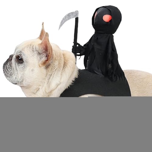 Spizummp Halloween-Haustier-Outfit – Ritterwelpe, lustiges Halloween-Kostüm, Haustier-Kostüm, Hundekleidung für Urlaubskostüme Spizummp Halloween-Haustier-Outfit – Ritterwelpe, lustiges Halloween-Kostüm, Haustier-Kostüm, Hundekleidung für Urlaubskostüme von Spizummp