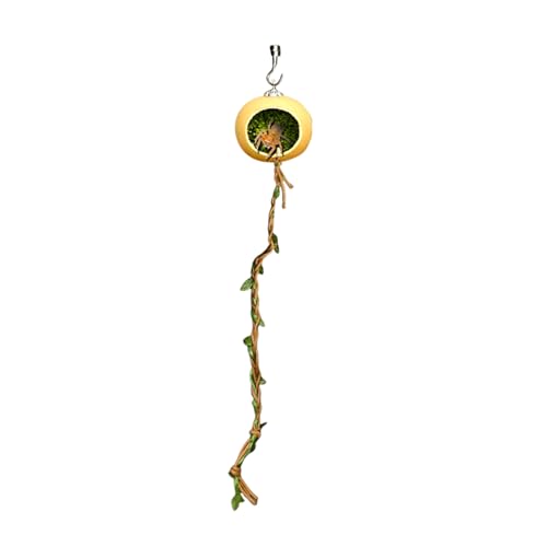 Spizummp Springspinnengehege, Dekoration, magnetisch, springende Spinne, Terrarien, Lebensraum, Unterschlupf, Hauszubehör für kleine Reptilien, Geckos, Arthropoden, Tausendfüßler Spizummp Springspinnengehege, Dekoration, magnetisch, springende Spinne, Terrarien, Lebensraum, Unterschlupf, Hauszubehör für kleine Reptilien, Geckos, Arthropoden, Tausendfüßler von Spizummp
