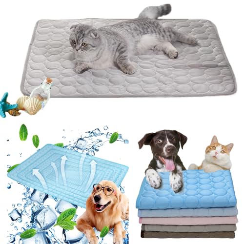 SplendidHongyuan C,S,Kühlmatte für Haustiere, Kühlmatte für Hunde, Kühlmatte für Haustiere für Katzen, Selbstkühlmatte für Hundebetten, waschbare Schlafmatte aus Eisseide für Haustiere SplendidHongyuan C,S,Kühlmatte für Haustiere, Kühlmatte für Hunde, Kühlmatte für Haustiere für Katzen, Selbstkühlmatte für Hundebetten, waschbare Schlafmatte aus Eisseide für Haustiere von SplendidHongyuan