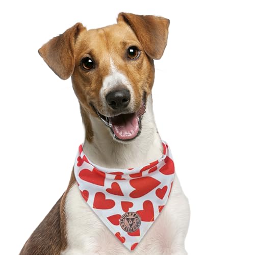 Spoilt Rotten Pets The Romsey Love Hundehalstuch mit rotem Herz, zum Valentinstag, gebundenes Design, Hundekostüm, Halstuch, Größe S bis M von Spoilt Rotten Pets