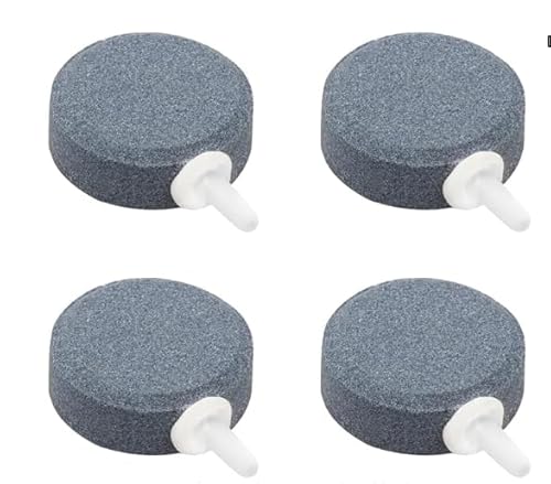 12 Stück Luftstein Für Aquarium: 4 cm Sprudelstein für Aquarium, Bubbles Sauerstoff Diffusor, Aquarium Luftausströmer Luftstein, Luftsteinscheibe Sprudler, für Aquarien, Teiche, Fischbecken 12 Stück Luftstein Für Aquarium: 4 cm Sprudelstein für Aquarium, Bubbles Sauerstoff Diffusor, Aquarium Luftausströmer Luftstein, Luftsteinscheibe Sprudler, für Aquarien, Teiche, Fischbecken von Sporgo