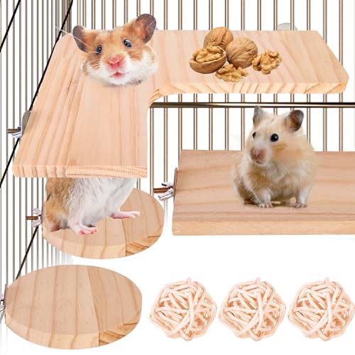 4-Piece Hamster Zubehör Hamsterpedal: Hamster Spielzeug Plattform für Haustiere mit 3 Bälle, Meerschweinchen Spielzeug Hamsterpedal L Jumping Board Round für Chinchilla Hasen Meerschweinchen von Sporgo