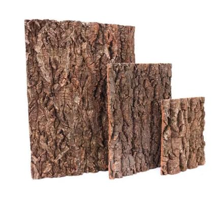 Sporgo Korkrinde Rückwand für Terrarium: 3 Stück Natürliche Baumrindenoptik, Reptilien-Klettermatte, Reptilienbecken Baum Hintergrund Wanddekoration, für Schildkröte Gecko Bartagamen - 30x20cm Sporgo Korkrinde Rückwand für Terrarium: 3 Stück Natürliche Baumrindenoptik, Reptilien-Klettermatte, Reptilienbecken Baum Hintergrund Wanddekoration, für Schildkröte Gecko Bartagamen - 30x20cm von Sporgo