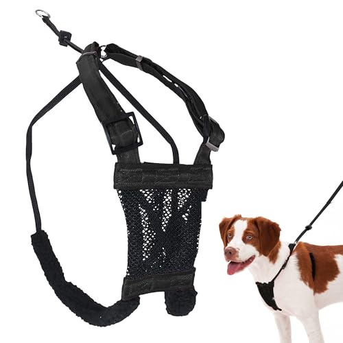 Sporn Hundegeschirr Sporn Hundegeschirr von Sporn