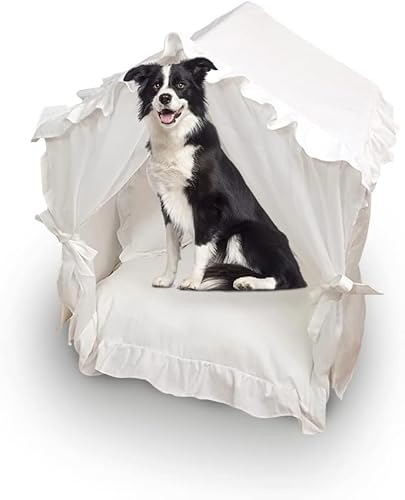 Sport Tent Haustierbett Höhle Hundehütten für drinnen Hunde Welpen & Katzen Zelt mit Kissen Prinzessin Bett Haustierhaus waschbare Hundebetten XS, weiß, 0 Sport Tent Haustierbett Höhle Hundehütten für drinnen Hunde Welpen & Katzen Zelt mit Kissen Prinzessin Bett Haustierhaus waschbare Hundebetten XS, weiß, 0 von Sport Tent