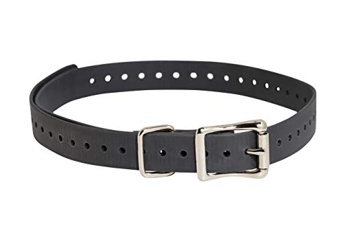 SportDOG Brand 1,9 cm Halsbänder, wasserdicht und rostfrei, Enge Löcher für richtige Passform, Grau von SportDOG