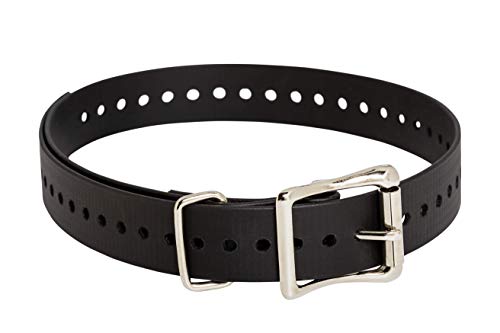 SportDOG Brand 2,5 cm Halsband. von SportDOG