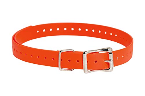 SportDOG Brand 1,9 cm Halsbänder, wasserdicht und rostfrei, Enge Löcher für richtige Passform, Orange von SportDOG