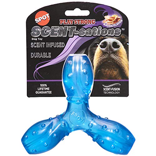 SPOT Play Hundespielzeug mit starkem Duft, Speck-Geschmack, 15,2 cm, für Aggressive Kauer von SPOT