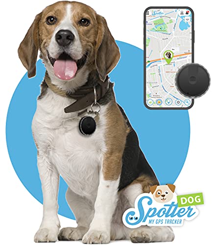Spotter GPS-Hunde-Tracker Abonnement und wasserdicht. Der kleinste GPS-Tracker mit Aktivitätentracker, Zonen, Alarmen und Anruffunktion. Immer wissen, wo Ihr Hund gerade ist. von Spotter