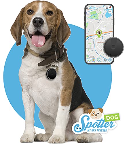 Spotter Pet Dog GPS Tracker 4G für Hunde - Präzise Ortung, IPX7 wasserdicht, Activity Tracker und Sicherheitszoneneinstellung mit Alarm für maximalen Schutz - Bezahlte Nutzungsdauer von Spotter