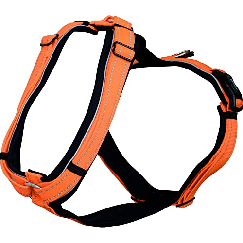 Sprenger Y-Geschirr reflektierend I gepolstert mit weichem strapazierfähigen Neopren I fellschonend und ergonomisch angepasst | neon orange, L von Herm Sprenger