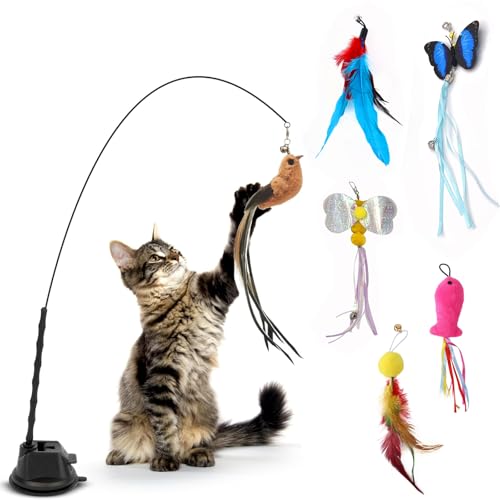 Sprießen 6 Stück Katzenspielzeug Selbstbeschäftigung, Katzenspielzeug Angel Mit Federn, Vogel & Saugnapf, Interaktives Katzenspielzeug Angel Mit Feder, Katzenspielzeug Set Für Kätzchen Und Katzen Sprießen 6 Stück Katzenspielzeug Selbstbeschäftigung, Katzenspielzeug Angel Mit Federn, Vogel & Saugnapf, Interaktives Katzenspielzeug Angel Mit Feder, Katzenspielzeug Set Für Kätzchen Und Katzen von Sprießen