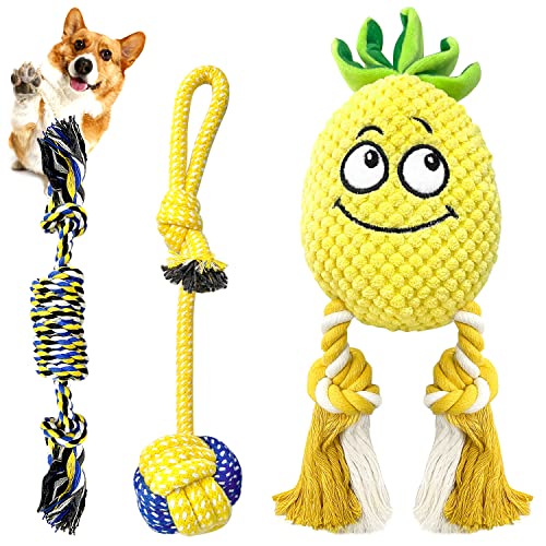 Sqinor Hundespielzeug Plüsch Quietschend Interaktives Stabiles Spielzeug für Große Kleine Hund und Welpen - Kuscheltier für Hunde (Ananas Hundespielzeug Set) von Sqinor