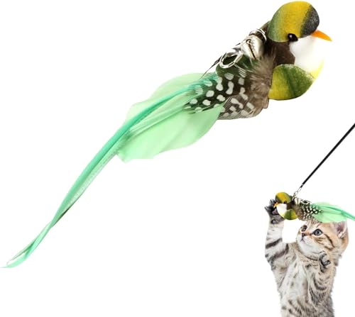 SquarezhenBo Green Bird Katzenspielzeug für Indoor-Katzen, Katzenspielzeug Zauberstab, Nachfüllungen, Vogel Ersatzkopf mit Glocke - Handgefertigtes Katzenspielzeug Vogel Ersatz für Katzenstab, SquarezhenBo Green Bird Katzenspielzeug für Indoor-Katzen, Katzenspielzeug Zauberstab, Nachfüllungen, Vogel Ersatzkopf mit Glocke - Handgefertigtes Katzenspielzeug Vogel Ersatz für Katzenstab, von SquarezhenBo