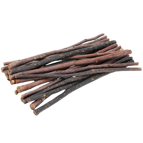 Srliya 20pcs Sticks Molar Behandelt Süße Bio -Holzkauen für Kleine Haustiere, Langlebige Zähneschleifenstangen, Geeignet für Kaninchen, Hamster und Mehr Fruchtbaumzweigmaterial von Srliya