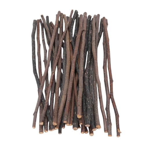 Srliya 30pcs Bunny Chew Stick, Obstbaumzweige, Mundgesundheitsverbesserung, Kleine Nagetiere, Holz 30 cm, Geeignet für Chinchillas, Kaninchen, Eichhörnchen, Hamster und Mehr Srliya 30pcs Bunny Chew Stick, Obstbaumzweige, Mundgesundheitsverbesserung, Kleine Nagetiere, Holz 30 cm, Geeignet für Chinchillas, Kaninchen, Eichhörnchen, Hamster und Mehr von Srliya