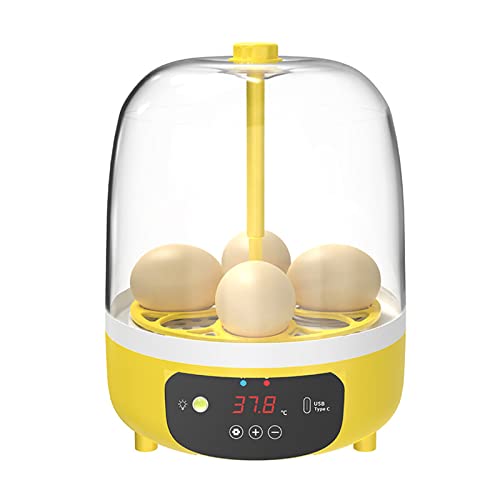 Srliya Umfassender Automatischer Mini-Eierinkubator mit Temperatur- und Feuchtigkeitskontrolle Kinder, 18 X 13,7 cm (S) von Srliya
