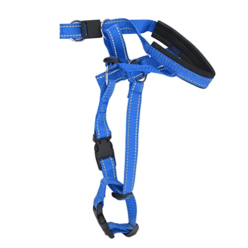 Verstellbares, Atmungsaktives Hundehalsband, Geschirr, Anti-Beiß-Hundemundschutz für den Außenbereich (Blau) von Srliya