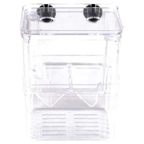 2-Kompartiment-Fischzüchterbox für Panzer, transparente Plastikisolationskiste mit Saugnapfbecher und Fütterungsanschluss für Babyfische und Garnelen von Ssguopte