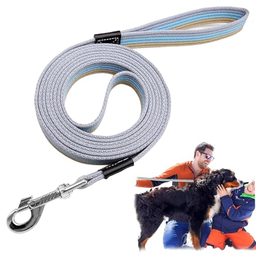 79 Hundeleine für große Hunde schwere Duty, 1 breite Leine für große Hunde, die mit Metallclip mit Metallclips Nicht kratzende Leinwand-Leinen miteinander ziehen, mit Metallclip 79 Hundeleine für große Hunde schwere Duty, 1 breite Leine für große Hunde, die mit Metallclip mit Metallclips Nicht kratzende Leinwand-Leinen miteinander ziehen, mit Metallclip von Ssguopte