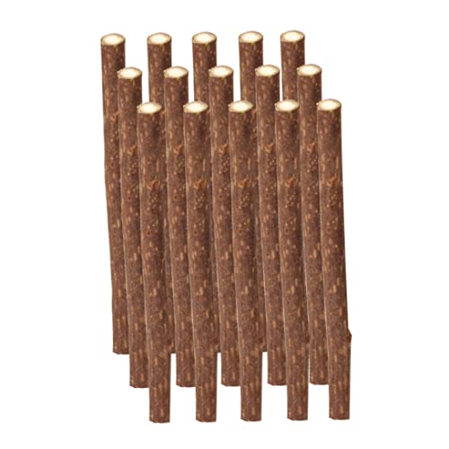 Ssguopte Catnip Sticks Natural Silvervine Matatabi Kaustangen Molaren Spielzeug für Katzenzähne putzen 15pcs von Ssguopte