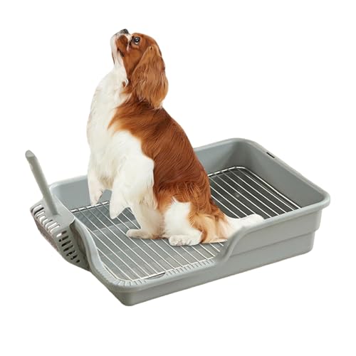 Ssguopte Hundetopfschale, Edelstahl -Mapen -Töpfchenschale mit Schutzwand und Schaufel, die Pfoten trockener Hundedrüsenschachtel für kein Leck, Verschütten, Unfall halten Ssguopte Hundetopfschale, Edelstahl -Mapen -Töpfchenschale mit Schutzwand und Schaufel, die Pfoten trockener Hundedrüsenschachtel für kein Leck, Verschütten, Unfall halten von Ssguopte