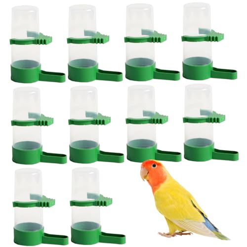 Ssguopte Pigeon Waterer 10pcs Automatische Vogelwasser -Feeder -Splitterfest -Plastik -Vogel -Wasserspender für Papageienpapagei Taube Quail Lovebirds Trinkflasche Trinkflasche von Ssguopte
