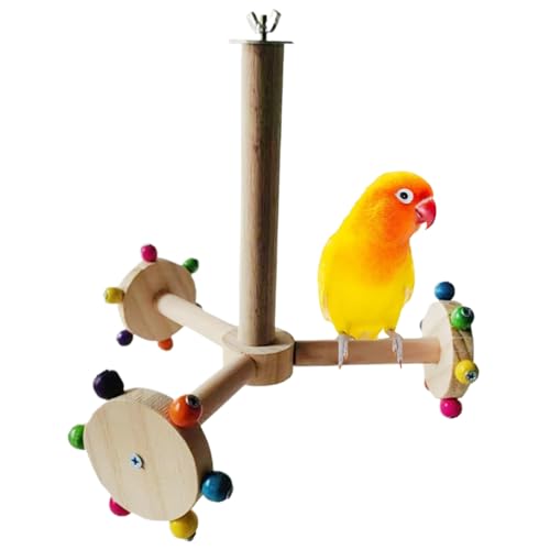 Ssguopte Vogelperch Stand Safe Naturholz Papageienständer interaktive Vogelstangen für Käfig Vogelübung Spielzeug Käfigzubehör für Wellensittich, Shotet, Lovebird von Ssguopte