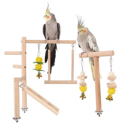 Ssguopte Vogelspielplatz, natürlicher Holz Vogelperch Stand, hölzerner Papageienständer mit Playpenleitern Conure Känen -Accessoires für kleine Kakadu -Cockatiel Lovebirds Brudel von Ssguopte