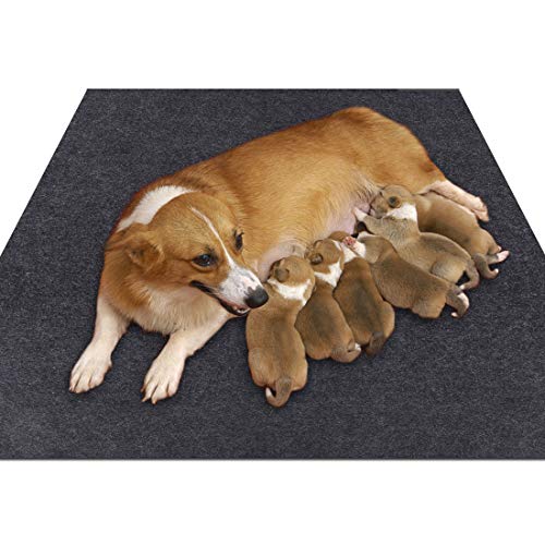 Sszhen Whelping Box Liner Mat,Washable and Reusable Puppy Pad,Premium Absorbent Urine Pet Mat,Under The Dog Crate Mat,Protect Your Floor, Furniture or Any Other Area from Liquid Leakage (91,4 x 183,9 von Sszhen