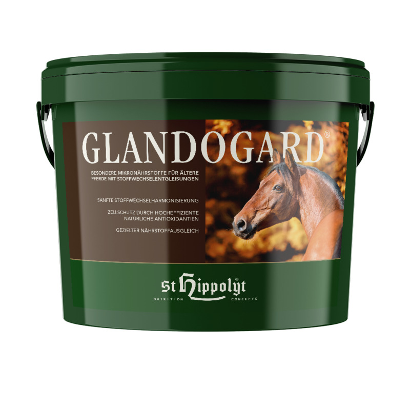 St. Hippolyt Glandogard 10 kg Eimer Besondere Mikronährstoffe für die Lebensqualität älterer Pferde mit Stoffwechselentgleisungen St. Hippolyt Glandogard 10 kg Eimer Besondere Mikronährstoffe für die Lebensqualität älterer Pferde mit Stoffwechselentgleisungen von St. Hippolyt