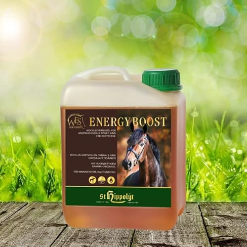 St. Hippolyt WES Energy Boost 5 Liter Kanister von St. Hippolyt