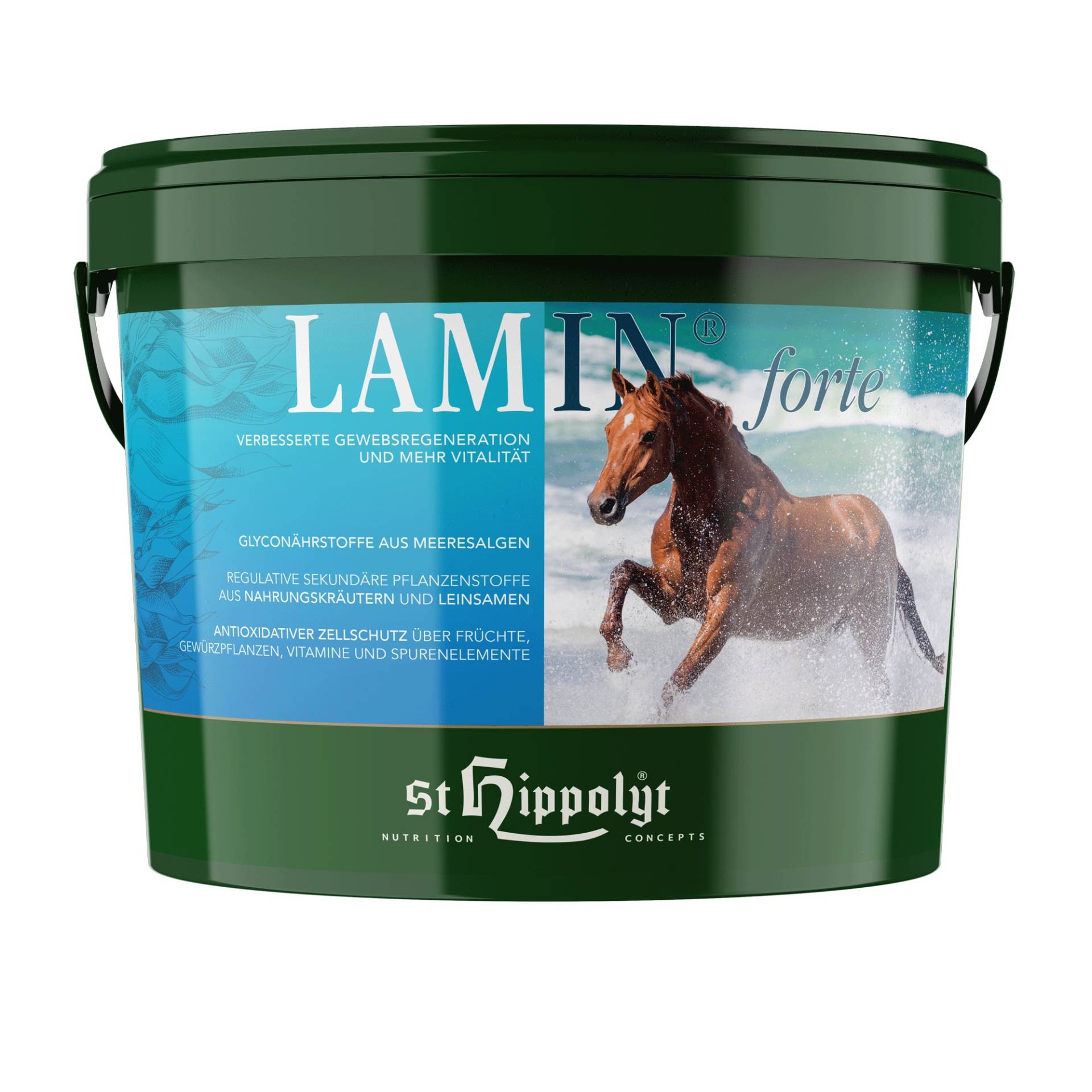 St.Hippolyt Lamin forte 10kg stärkung des Immunsytems St.Hippolyt Lamin forte 10kg stärkung des Immunsytems von St. Hippolyt