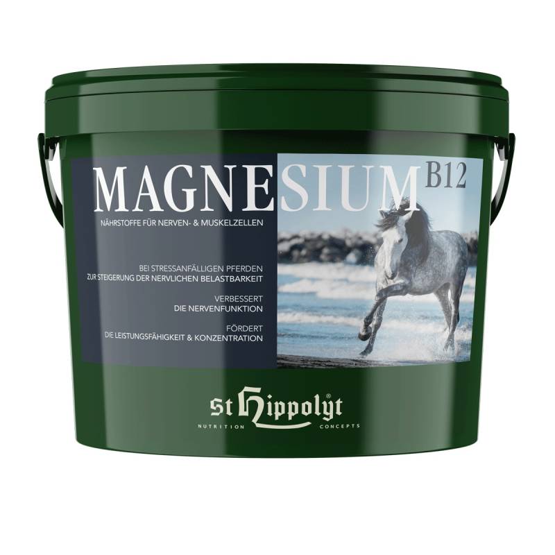 St.Hippolyt Magnesium B12 10kg Nervennahrung St.Hippolyt Magnesium B12 10kg Nervennahrung von St. Hippolyt