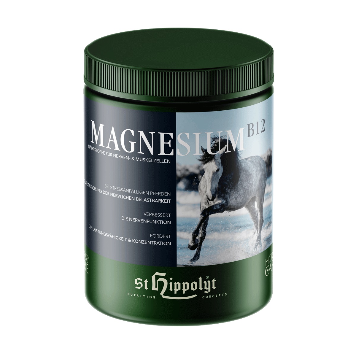 St.Hippolyt Magnesium B12 1kg Nährstoffe für Nerven- und Muskelzellen St.Hippolyt Magnesium B12 1kg Nährstoffe für Nerven- und Muskelzellen von St. Hippolyt
