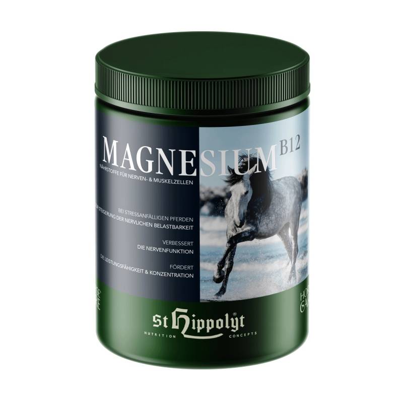 St.Hippolyt Magnesium B12 1kg Nährstoffe für Nerven- und Muskelzellen St.Hippolyt Magnesium B12 1kg Nährstoffe für Nerven- und Muskelzellen von St. Hippolyt