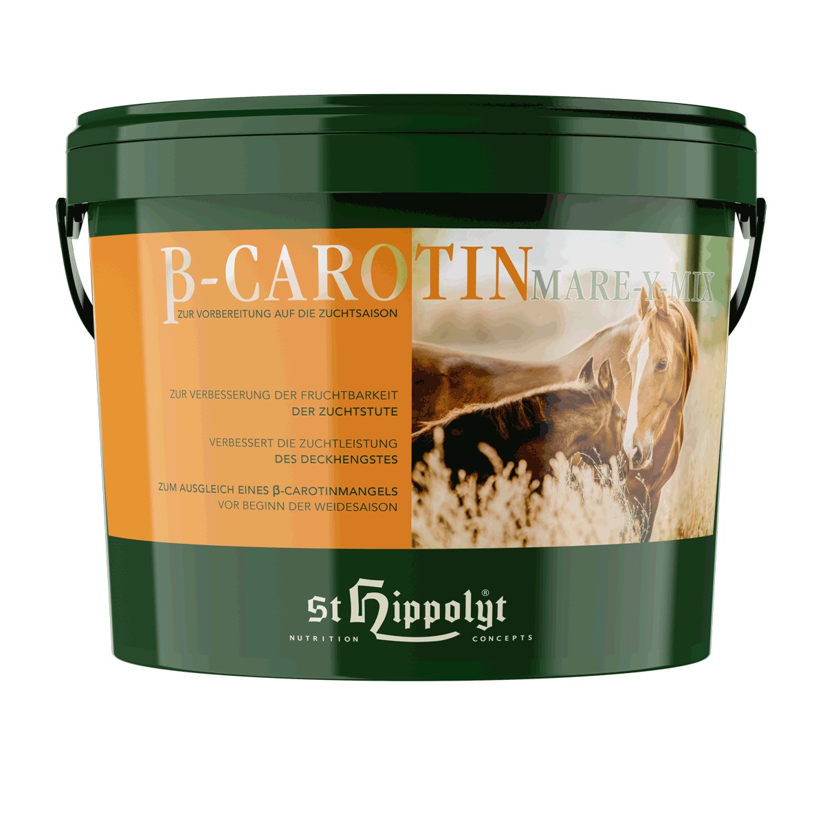 St.Hippolyt ß-Carotin Mare-Y-Mix 10kg Zuchtpferde richtig versorgt! St.Hippolyt ß-Carotin Mare-Y-Mix 10kg Zuchtpferde richtig versorgt! von St. Hippolyt