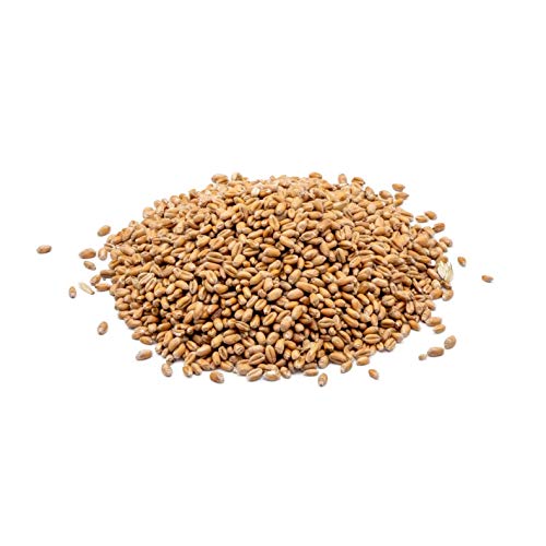 STAWA Weizen, Geflügelfutter, Hühnerfutter, Mühlenqualität, 25 kg STAWA Weizen, Geflügelfutter, Hühnerfutter, Mühlenqualität, 25 kg von STAWA