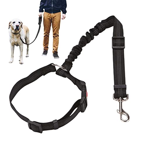 Hund Katze Sicherheitsgurt, Hund Auto Geschirre Sicherheitsgurt Hundeleine Leine, Reflektierende Flexileine Einstellbar Für Kleine Mittelgroße Große Haustiere Hund Katze Sicherheitsgurt, Hund Auto Geschirre Sicherheitsgurt Hundeleine Leine, Reflektierende Flexileine Einstellbar Für Kleine Mittelgroße Große Haustiere von Stalf