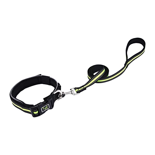 Stalf Hundeleinen-Halsband-Set, Reflexionslicht Hundeleine, Dauerhafte Geflochten Mit Halsband Einstellbar Retriever, Atmungsaktives Haustierzubehör Große Haustiere Stalf Hundeleinen-Halsband-Set, Reflexionslicht Hundeleine, Dauerhafte Geflochten Mit Halsband Einstellbar Retriever, Atmungsaktives Haustierzubehör Große Haustiere von Stalf