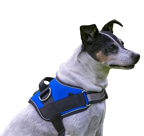 Premium Anti-Pull-Hundegeschirr, atmungsaktive, verstellbare, langlebige gepolsterte Weste für Training und Spaziergänge mit Tasche, reflektierendes Band, großer, mittelgroßer, Kleiner Hund (XS) von Stand Swiss DG