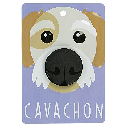 Pooch Pals Cavachon Hundeleinenhalter, Wandmontage, Plakette von Stands Out, Supplying Outstanding Gifts