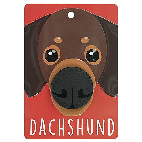 Pooch Pals Halter für Hundeleine, Dackel, Braun / Hellbraun von Stands Out, Supplying Outstanding Gifts