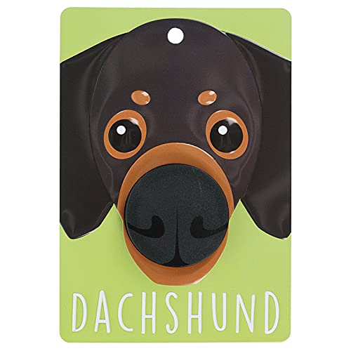 Pooch Pals Halter für Hundeleine, Dackel, Schwarz / Hellbraun von Stands Out, Supplying Outstanding Gifts