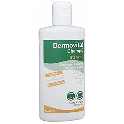 Dermovital-Shampoo 250 ml von STANGEST