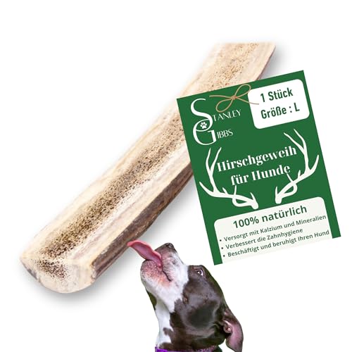 Natürlicher Kausnack für Hunde aus 100% Hirschgeweih. Mit Mineralstoffen, Kauspielzeug, Zahnpflege, Kaustange, Geweih, Knochen, Hirsch, Kauartikel - Größe L halbiert. Für Welpen und Hunde jeden Alters Natürlicher Kausnack für Hunde aus 100% Hirschgeweih. Mit Mineralstoffen, Kauspielzeug, Zahnpflege, Kaustange, Geweih, Knochen, Hirsch, Kauartikel - Größe L halbiert. Für Welpen und Hunde jeden Alters von Stanley Gibbs