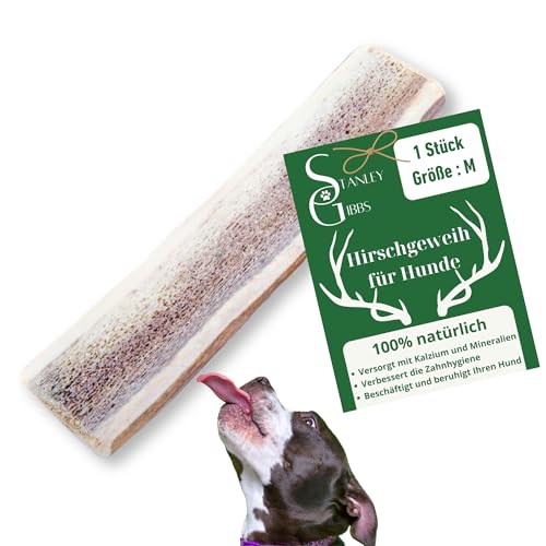Bois DE CHERF Pour Chien Bois DE CHERF Pour Chien von Stanley Gibbs